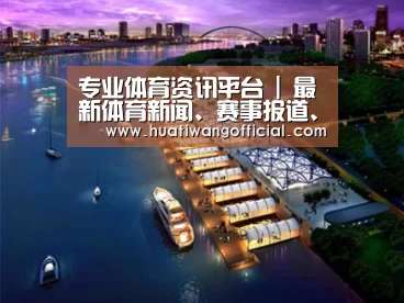案例展示八