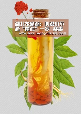 足球资讯