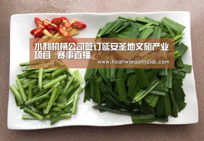 体育新闻