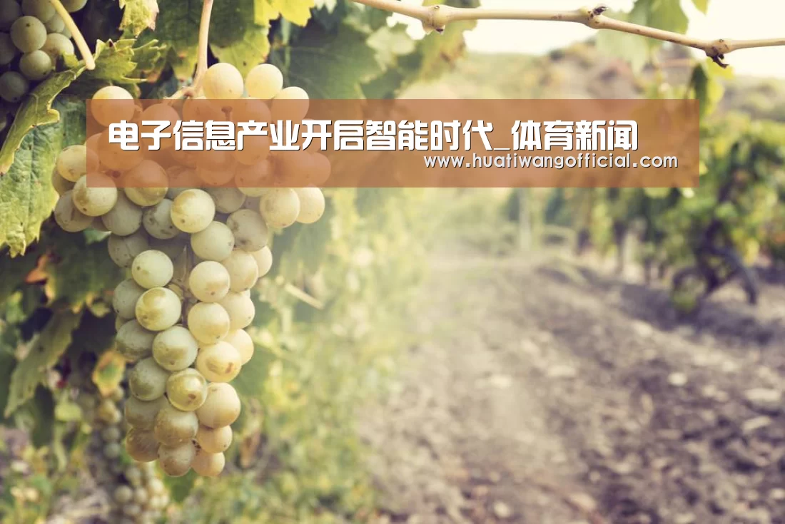 电子信息产业开启智能时代_体育新闻(图3) 赛事直播