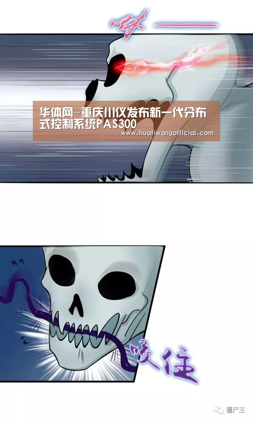 华体网-重庆川仪发布新一代分布式控制系统PAS300(图1) 足球资讯