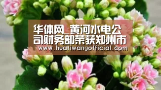 华体网_黄河水电公司财务部荣获郑州市“工人先锋号”(图2) 体育新闻