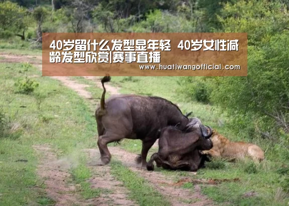 40岁留什么发型显年轻 40岁女性减龄发型欣赏|赛事直播(图3) 体育新闻