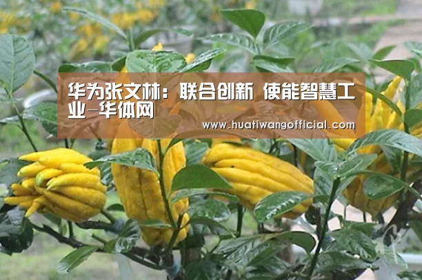 华为张文林:联合创新 使能智慧工业-华体网(图4) 体育新闻